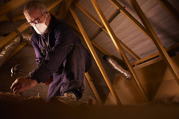 Best Eco-Friendly Insulation in Lakeside, CA